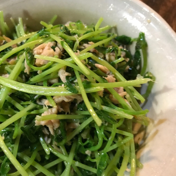 直ぐできる 豆苗ツナ炒め
